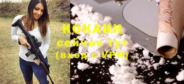 apvp Армянск