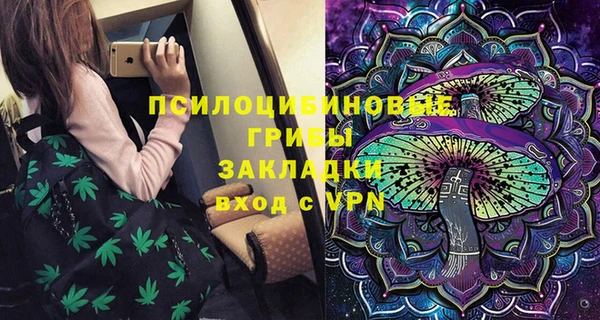 apvp Армянск