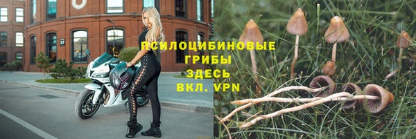 apvp Армянск