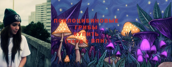 apvp Армянск
