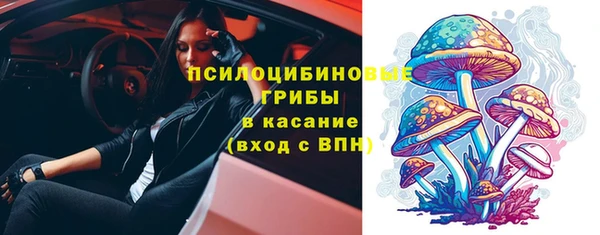 экстази Арсеньев